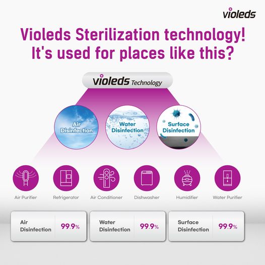 Violeds on sale